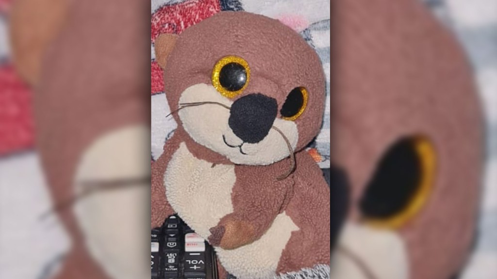 Klassen-Maskottchen Otter Ole wird gesucht
