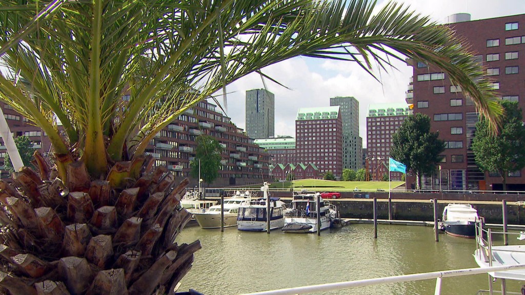 Foto: Rotterdam, da will ich hin!
