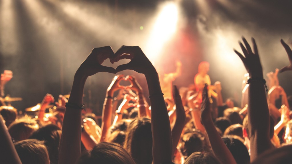 Foto: Feiernde Menge - Konzert (pixabay)
