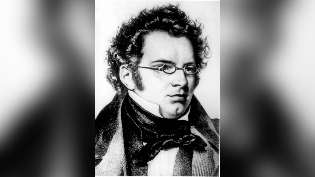 Franz Schubert (Foto: dpa-Bildfunk)