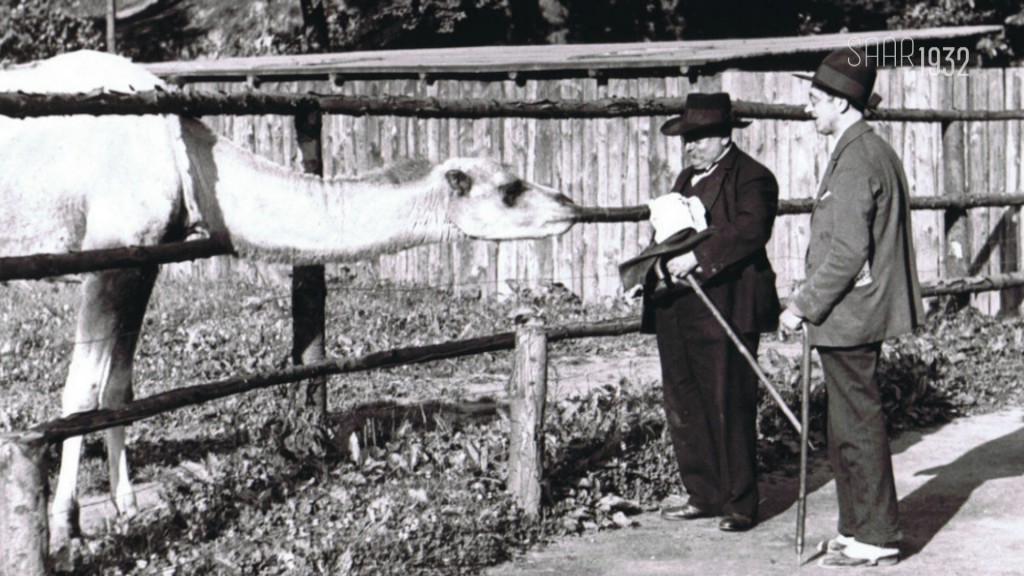 Foto: 1932 - Der Saarbrücker Zoo öffnet seine Pforten