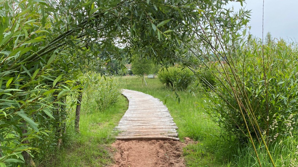 Teilstück des Barfußpfades in Ludwigswinkel (Foto: SR/Markus Person)