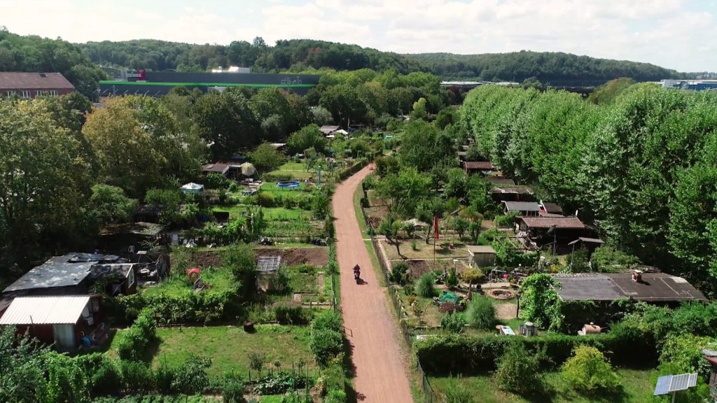 Foto: Blick von oben auf eine Schrebengartenanlage.
