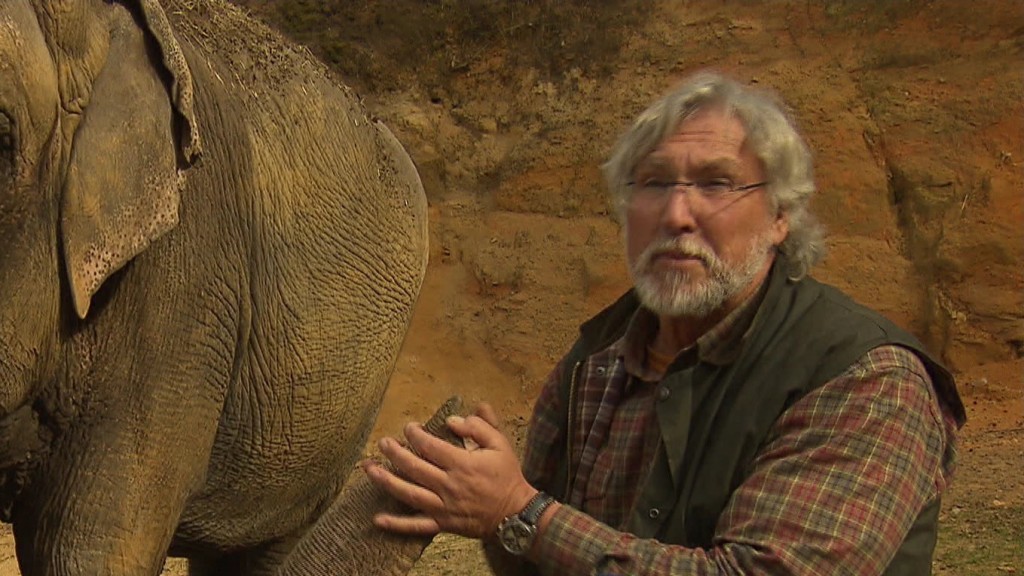 Elefantendame Kirsty und Zoodirektor Fritsch
