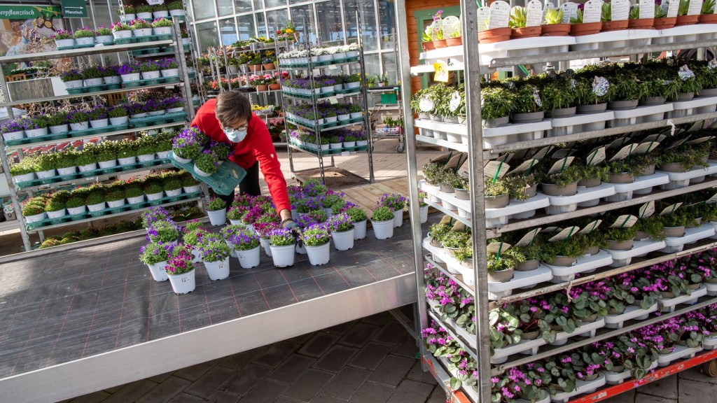 Hoffen auf weitere Lockerungen der Lockdown-Maßnahmen: Eine Mitarbeiterin eines Gartencenters stellt Blumen für den Verkauf auf ein Podest (Foto: picture alliance/dpa | Peter Kneffel)