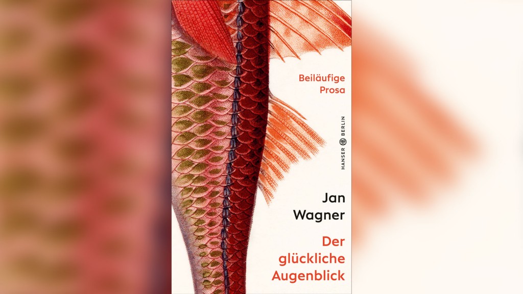 Buchcover (Hanser Verlag Berlin)