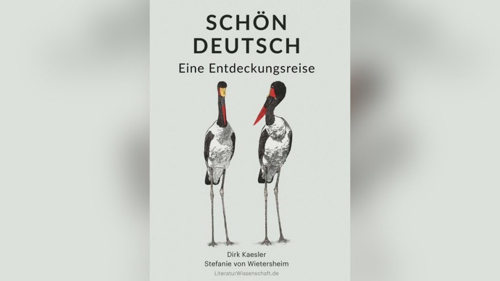 Buchcover (Literaturwissenschaft.de Verlag)
