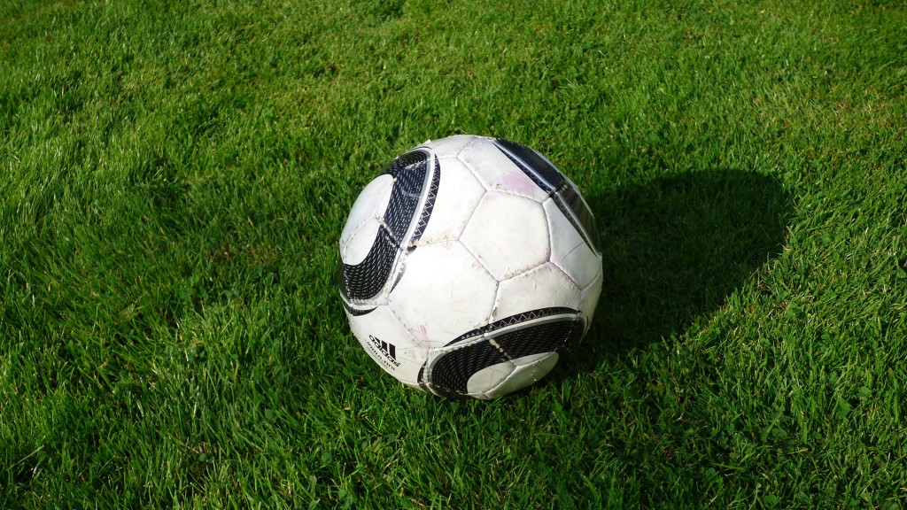 Fußball im Rasen (Foto: Pixabay/torsmedberg)