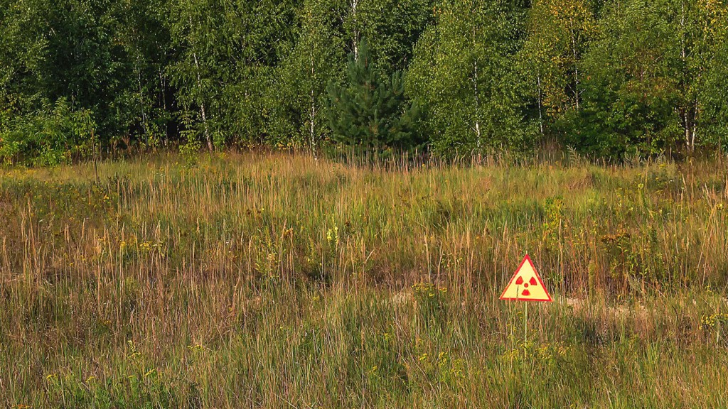 Symbolbild: ein Strahlungs-Warnschild auf einer Lichtung in Waldnähe (Archivfoto: IMAGO / imagebroker)