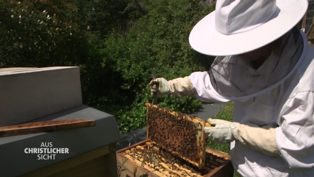 Foto: Eine Imkerin mit ihren Bienen.