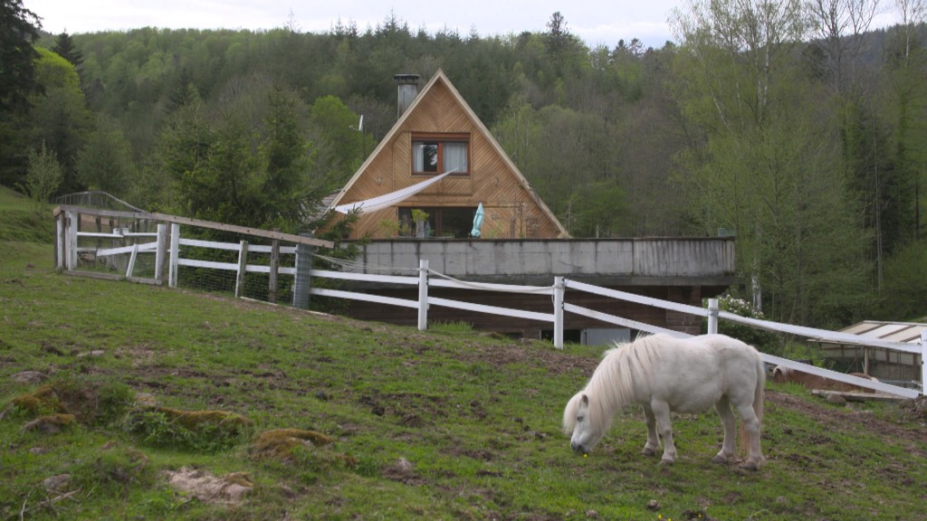 Foto: Pony vor einem Gästehaus