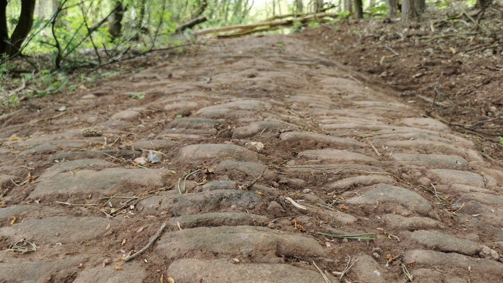 Das Pflaster des Bergmannpfads in Wiesbach (Foto: SR/Oliver Buchholz)