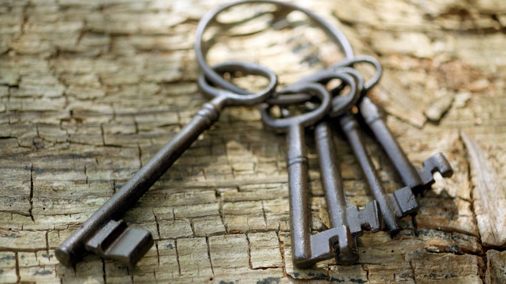 Ein alter Schlüsselbund mit Schlüsseln liegt auf einer Baumrinde (Foto: IMAGO/bonn-sequenz)