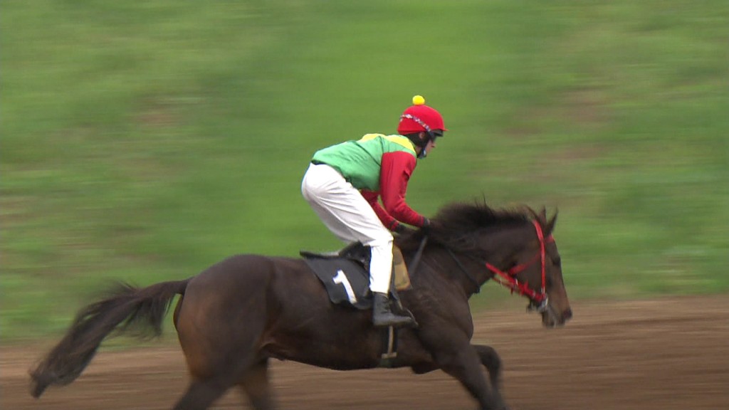 Jockey auf einem Pferd (Foto: SR)
