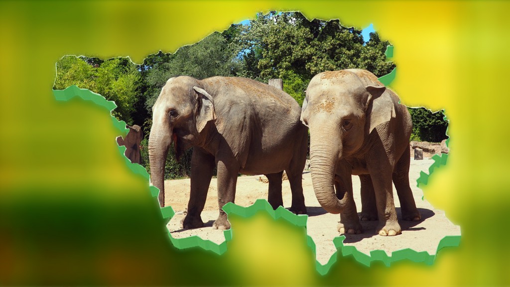 Hoa und Trinh, die Elefantendamen im Neunkircher Zoo (Bild: SR/Zoo Leipzig)