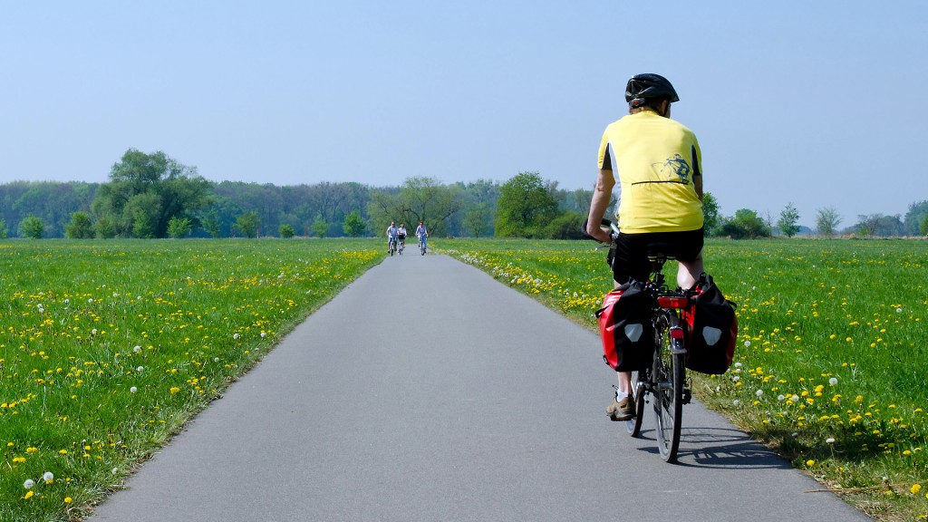 Symbolbild: Ein Radfahrer fährt auf einem Radweg. (Foto: picture alliance / dpa | Patrick Pleul)