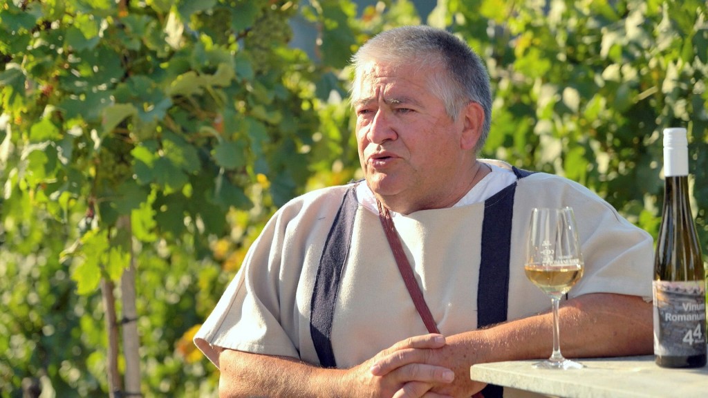 Roman Auler (Foto: Weingut Romanushof)