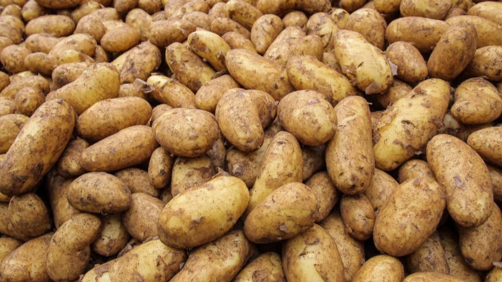 Foto: Kartoffeln