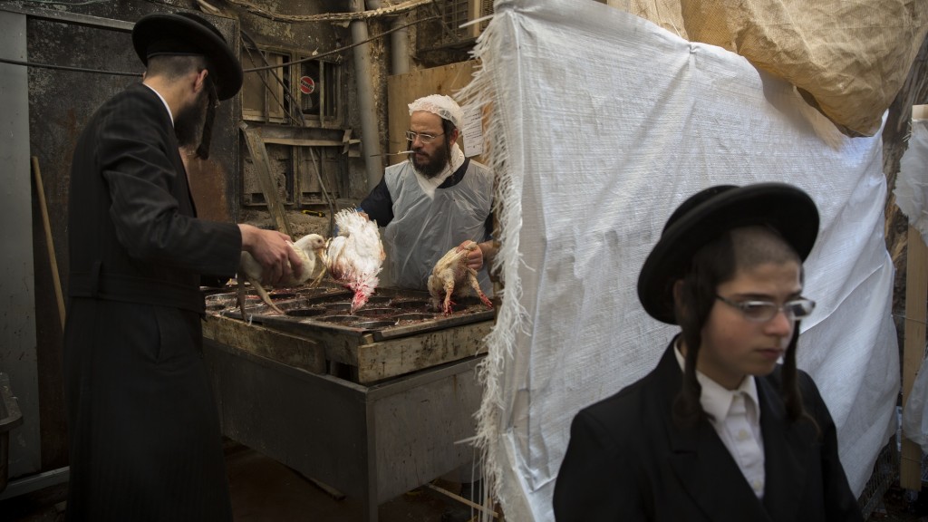 Ein Ultra-orthodoxer Jude schlachtet in Jerusalem ein Huhn als Teil des Kapparot Rituals (Foto: picture alliance / Oded Balilty/AP/dpa | Oded Balilty)