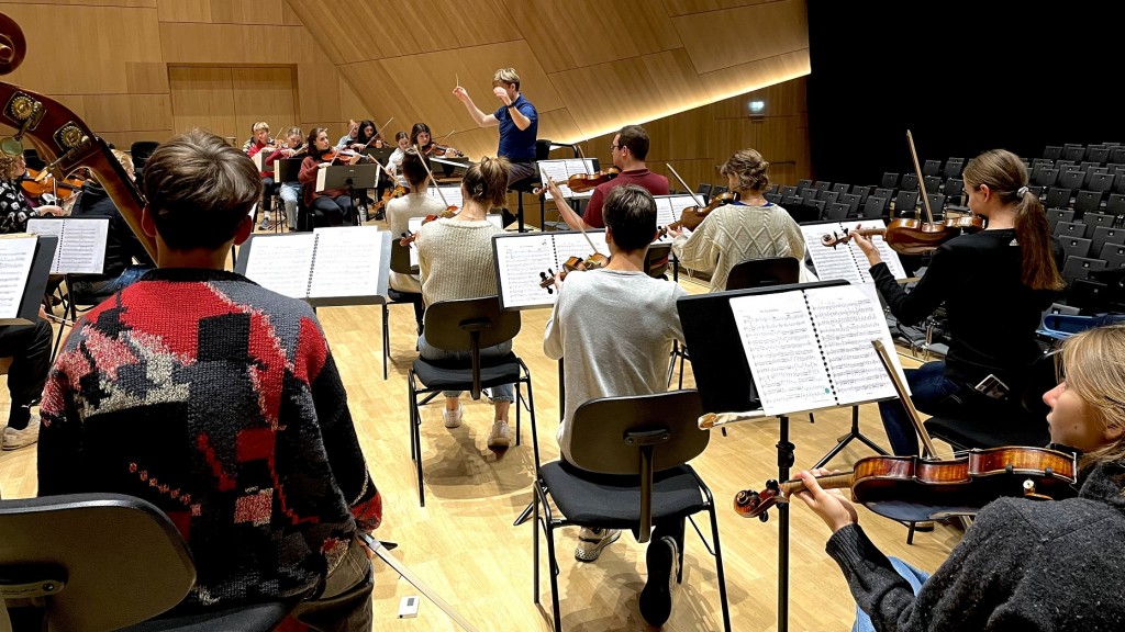 Das Landes-Jugend-Symphonie-Orchester Saar (LJO)  bei einer Probe (Pressefoto: Johannes Loyo)