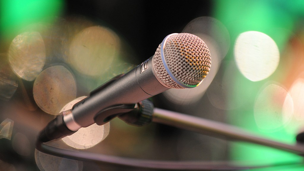 Mikrofon (Foto: Jens Gerlach)