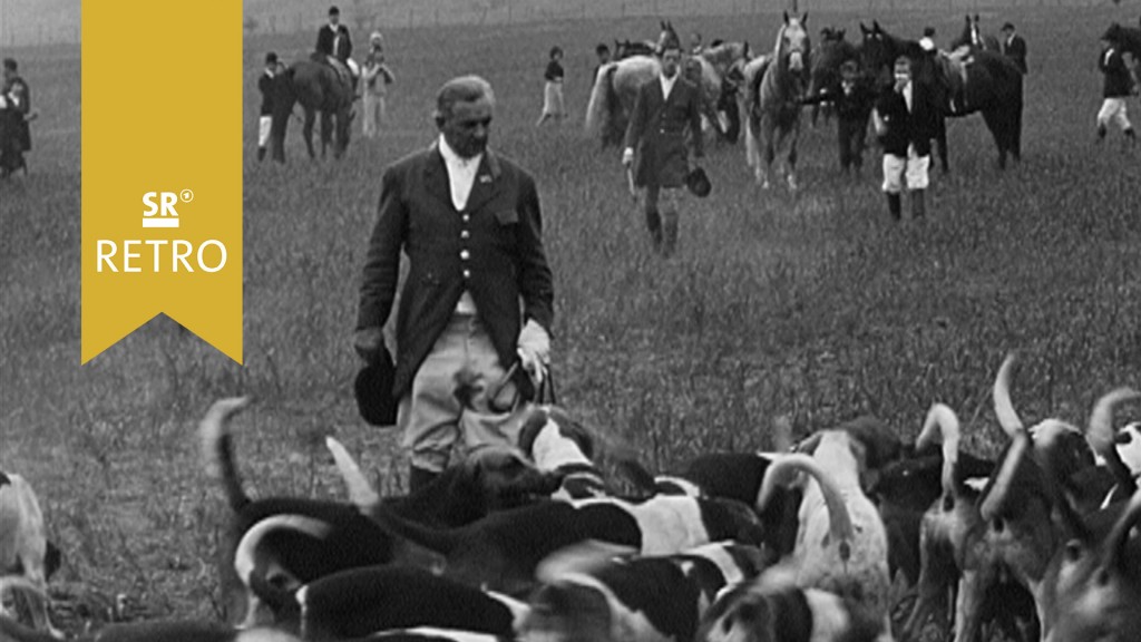 Foto: Mann mit Jagdhunden