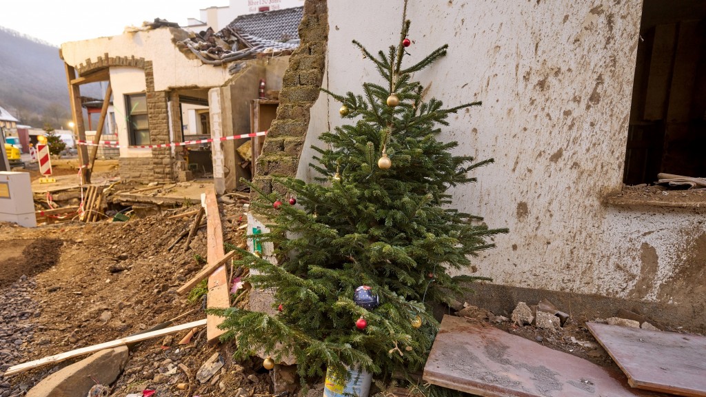 Ein Weihnachtsbaum vor einem von der Flut zerstörten Haus in Mayschoß/Ahrtal (Foto: picture alliance/dpa | Thomas Frey)