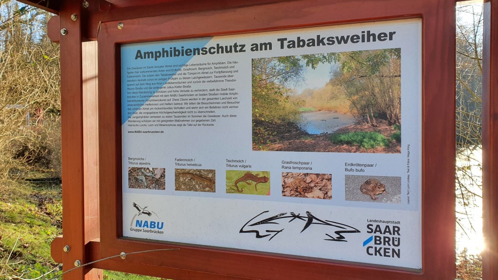 Amphibienschutz-Hinweisschild am Tabaksweiher Saarbrücken (Foto: SR/Lena Schmidtke)