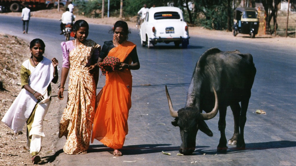 Straßenszene in Indien (Foto: picture alliance / dpa / Politikens_Presse_Foto / Jens Dresling)