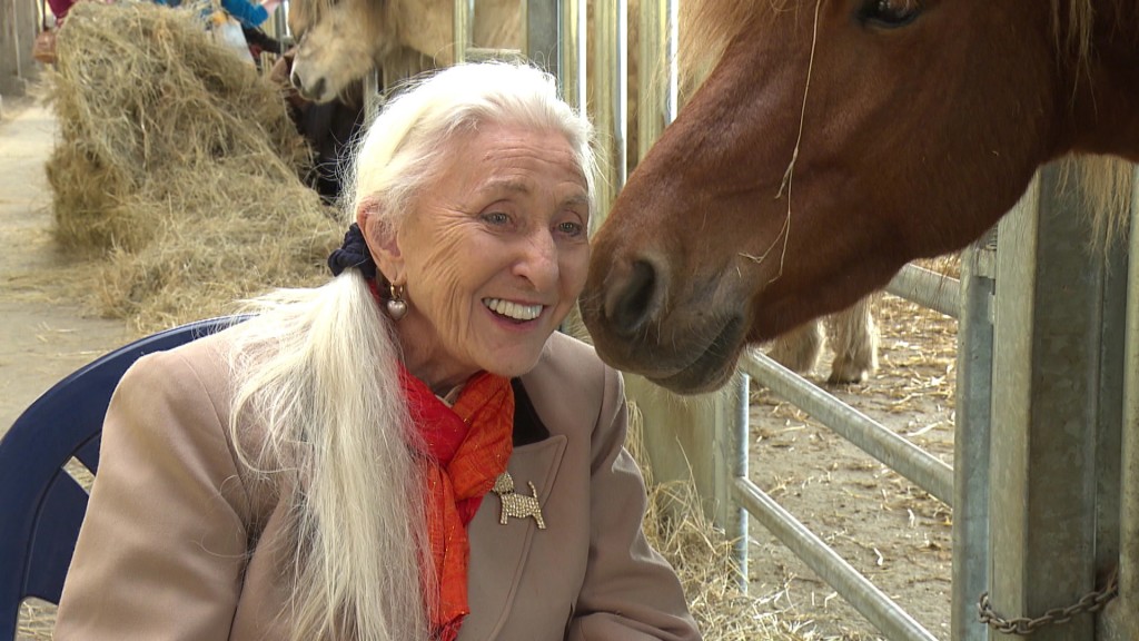 Die Pferdepsychologin Linda Tellington-Jones