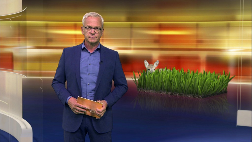 Foto: Joachim Weyand im Studio