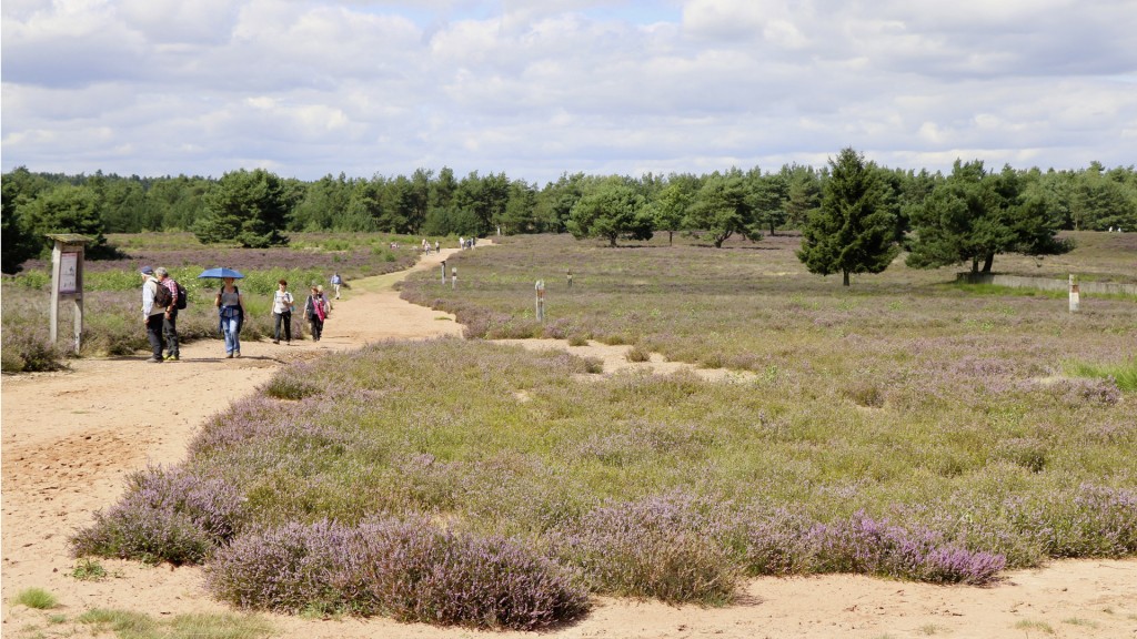 Mehlinger Heide