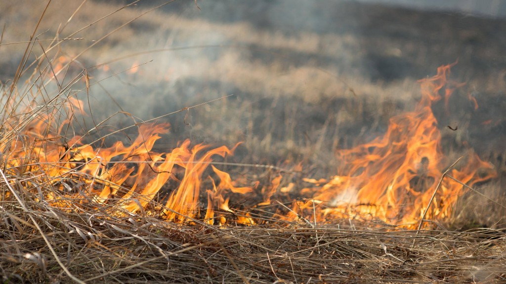 Trockenes Gras, das in Brand geraten ist