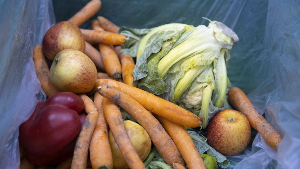 Foto: Obst und Gemüse