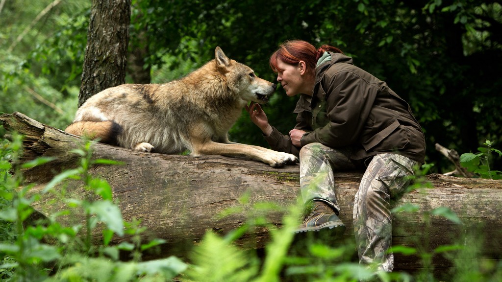 Tatjana Schneider mit einem Wolf