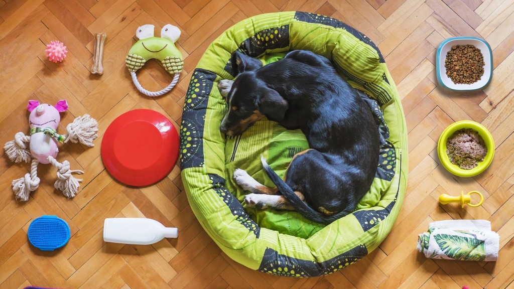 Ein Hund mit Spielzeug