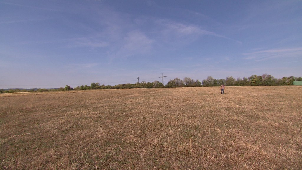 Foto: Trockenes Feld 