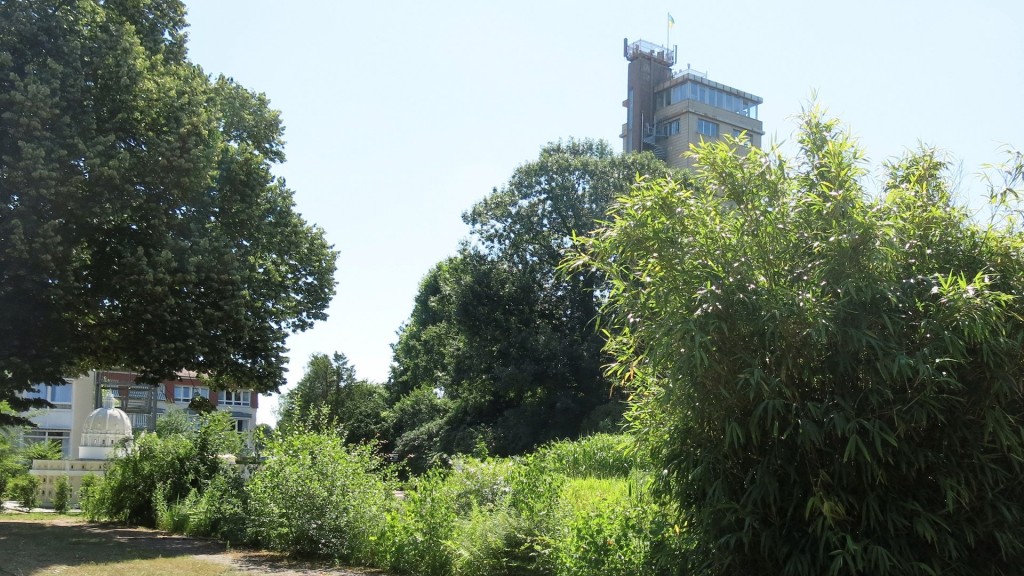 Bexbacher Blumengarten mit dem Hindenburgturm heute