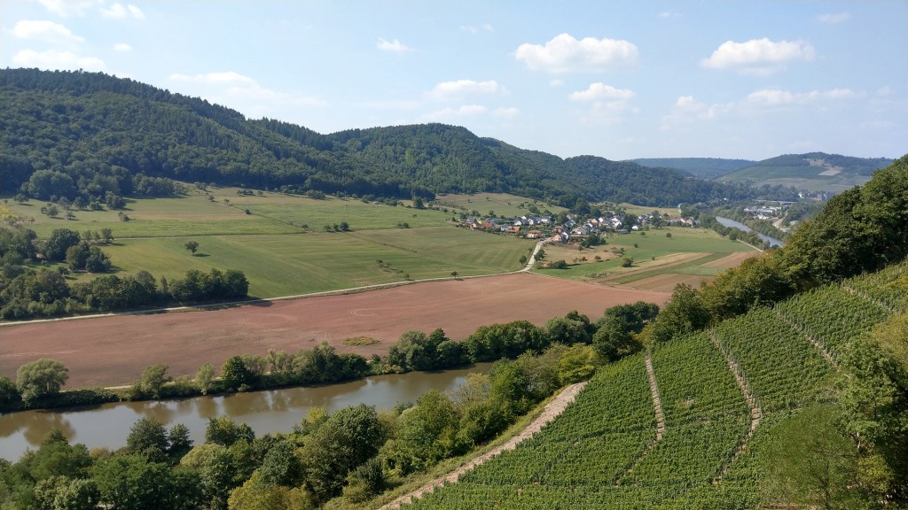 Saarländischen Weinhänge an der Mosel