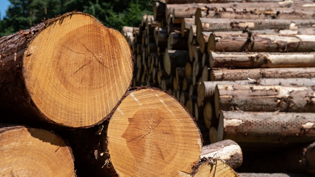 Foto: Lärchenbaumstämme liegen zur Weiterverarbeitung bereit
