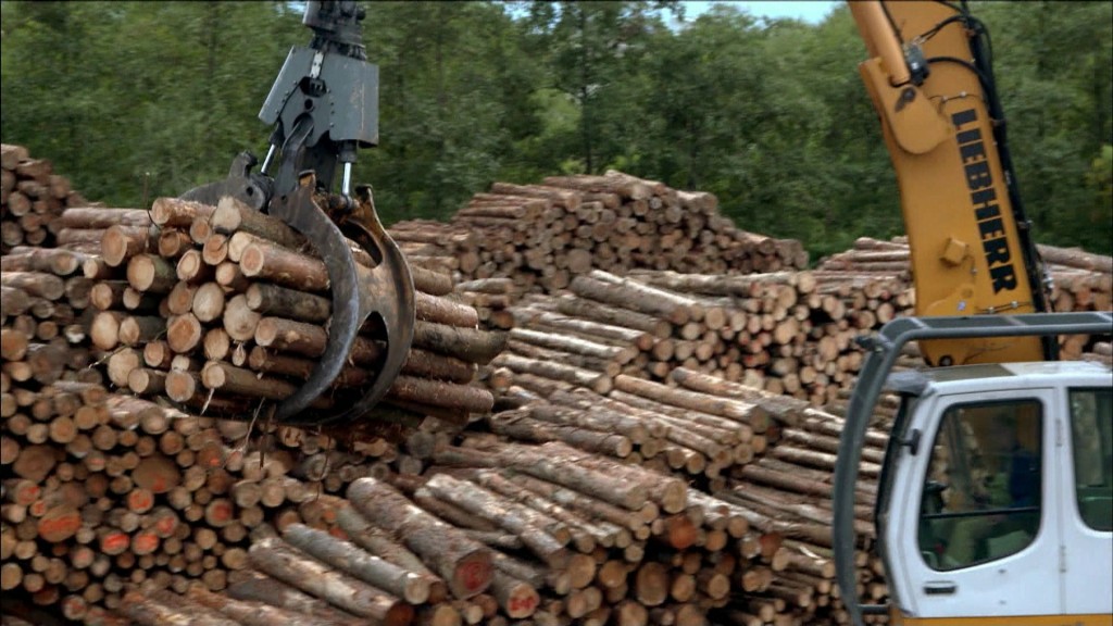 Foto: Kran mit Holzstämmen