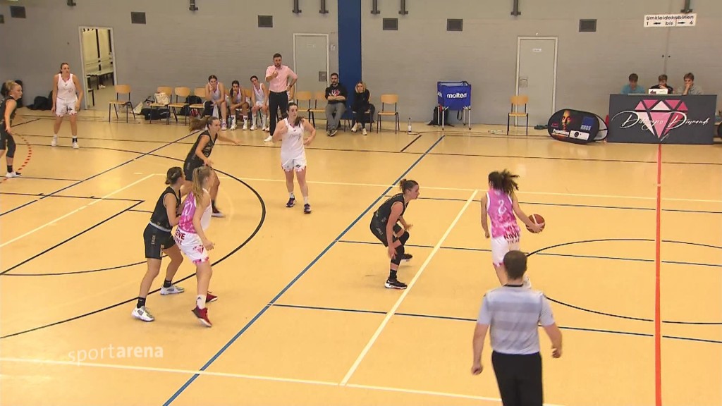 Foto: Saarlouis Royals gegen Diamonds Dillingen