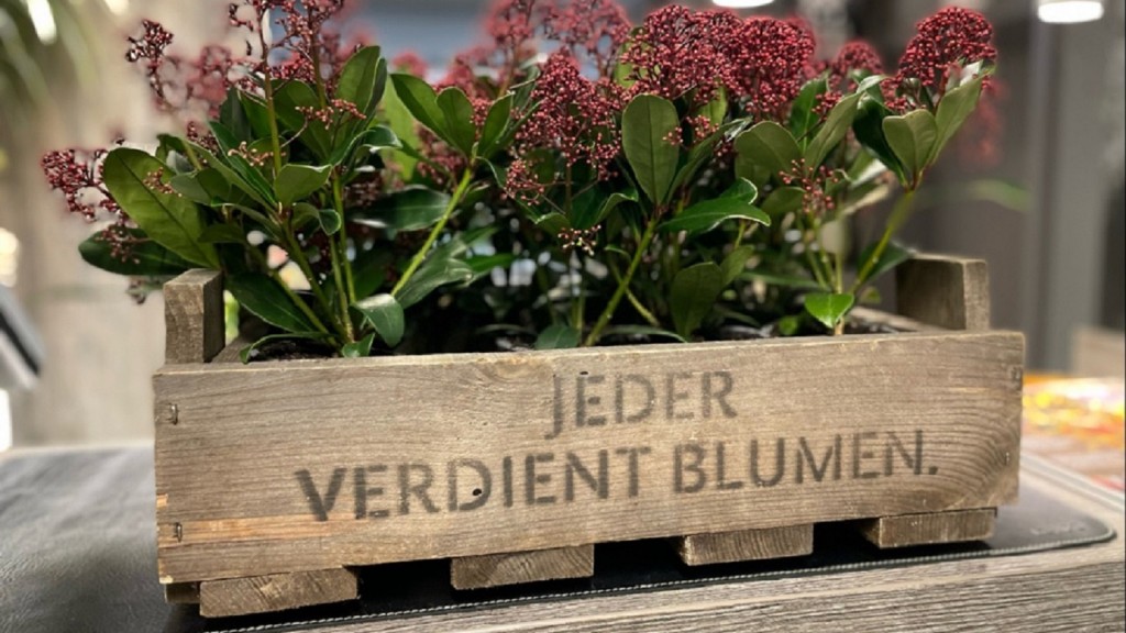 Jeder verdient Blumen