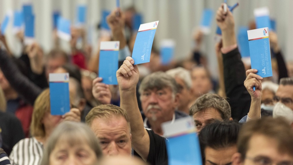 Foto: AfD-Parteimitglieder halten blaue Wahlzettel in die Luft um über einen neuen Landesvorsitzenden abzustimmen