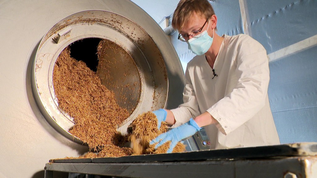 Foto: Herstellung von Verpackungen aus Pilzen