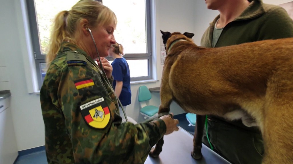 Foto: Tierärztin mit Hund bei der Bundeswehr