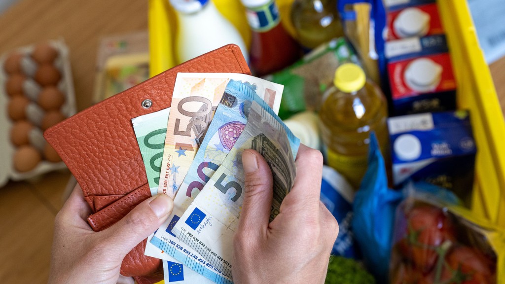 Eine Einkaufskiste mit Lebensmitteln steht auf einem Küchentisch, während eine Frau Euro-Banknoten in den Händen hält