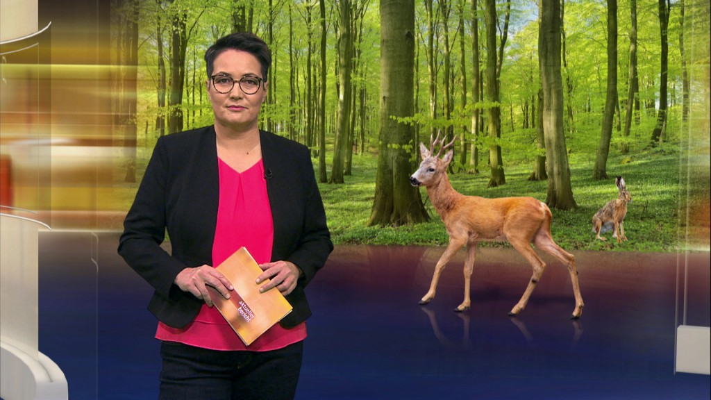 Foto: Sonja Marx im Studio