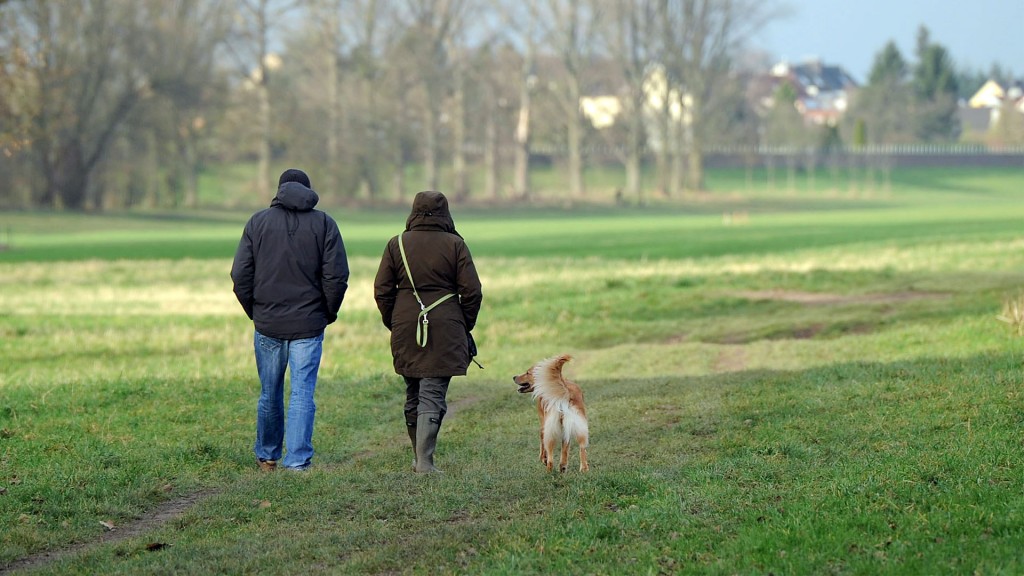 Ein Mann und eine Frau gehen mit einem Hund spazieren