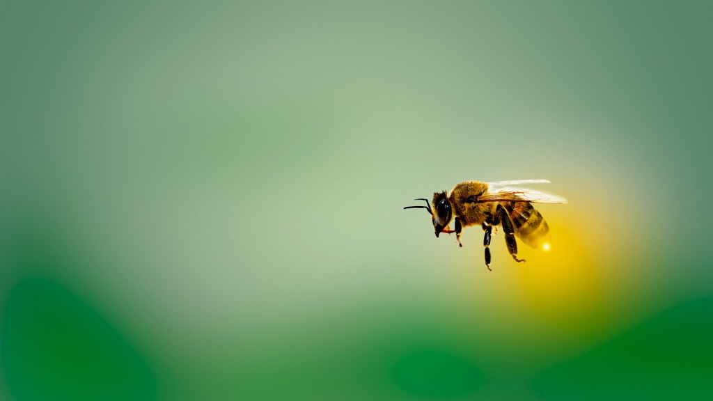 Eine fliegende Biene